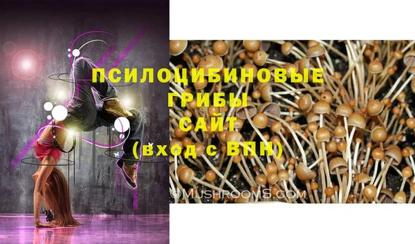 тгк Армянск