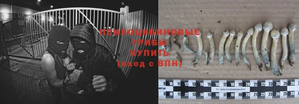 тгк Армянск