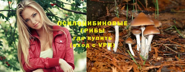 спиды Аркадак