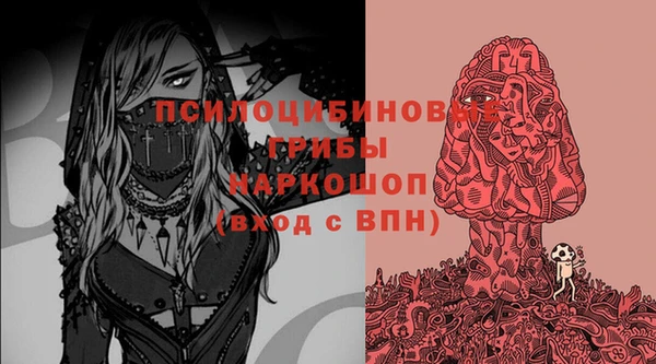 ECSTASY Покров