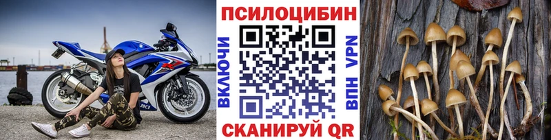 Псилоцибиновые грибы Magic Shrooms  Новоузенск 
